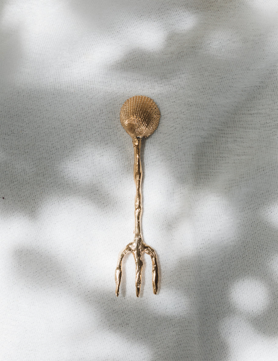 Utensilios Concha