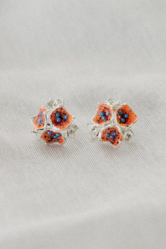 Aretes Galaxea Coral