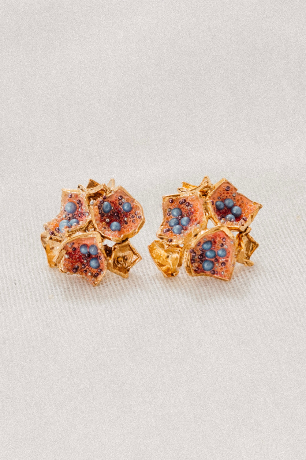 Aretes Galaxea Coral