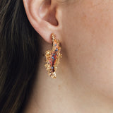 Aretes Cristatella Summer