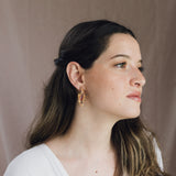 Aretes Cristatella Summer