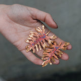 Aretes Filoendro Summer