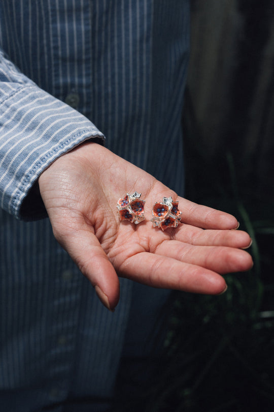 Aretes Galaxea Coral