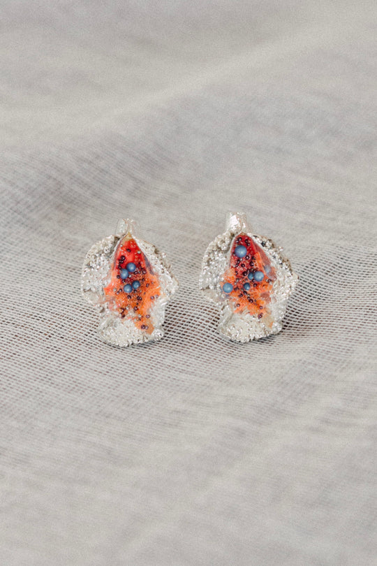 Aretes Turbinaria Summer