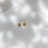 Topos Corozos