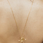 Imagen de diapositiva