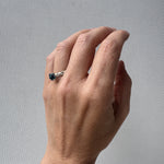 Imagen de diapositiva