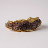Anillo Sinuata