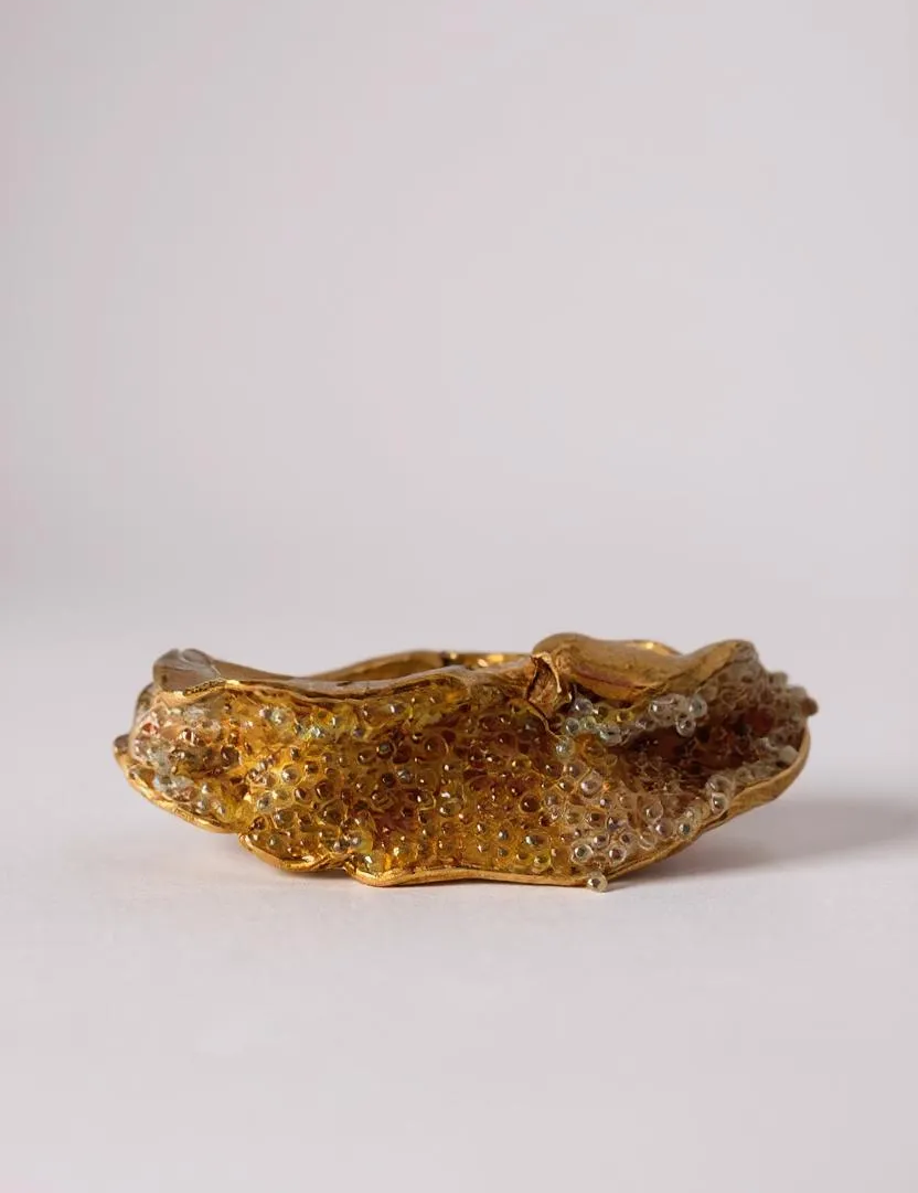 Anillo Sinuata