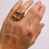 Anillo Sinuata