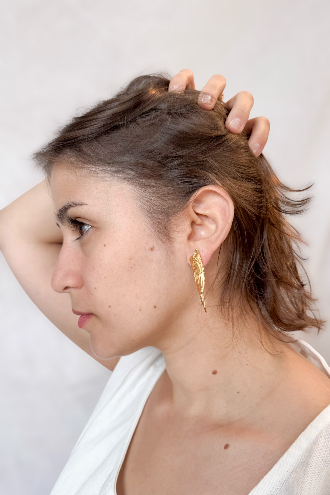 Aretes Fisura