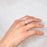 Anillo Filamentos
