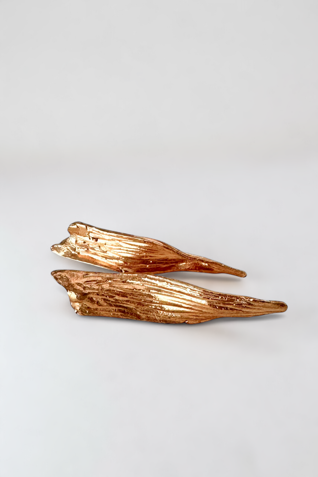 Aretes Fisura