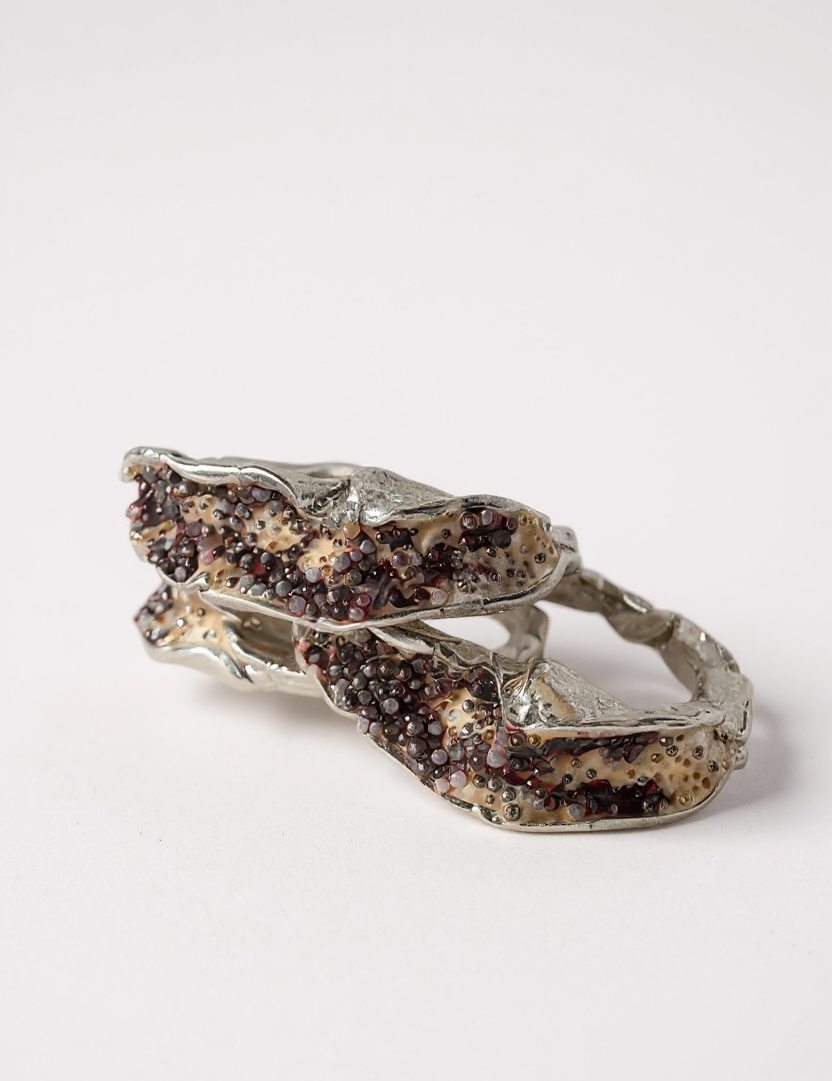 Anillo Sinuata