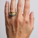 Anillo Sinuata