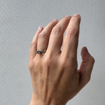 Imagen de diapositiva
