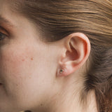 Topos Sal & Pimienta