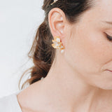 Aretes Coralina