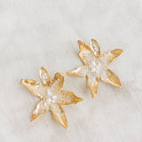 Aretes Pétalos de Orquídea