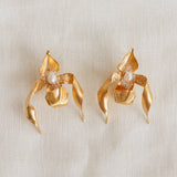 Aretes Huanuco
