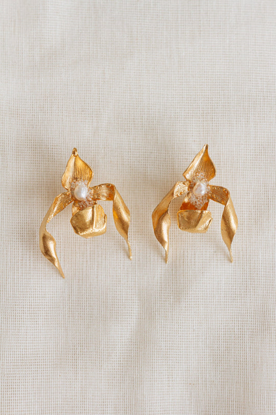 Aretes Huanuco