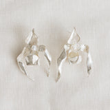 Aretes Huanuco