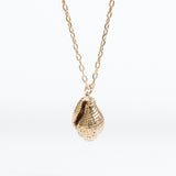 Brazalete Nuez Moscada