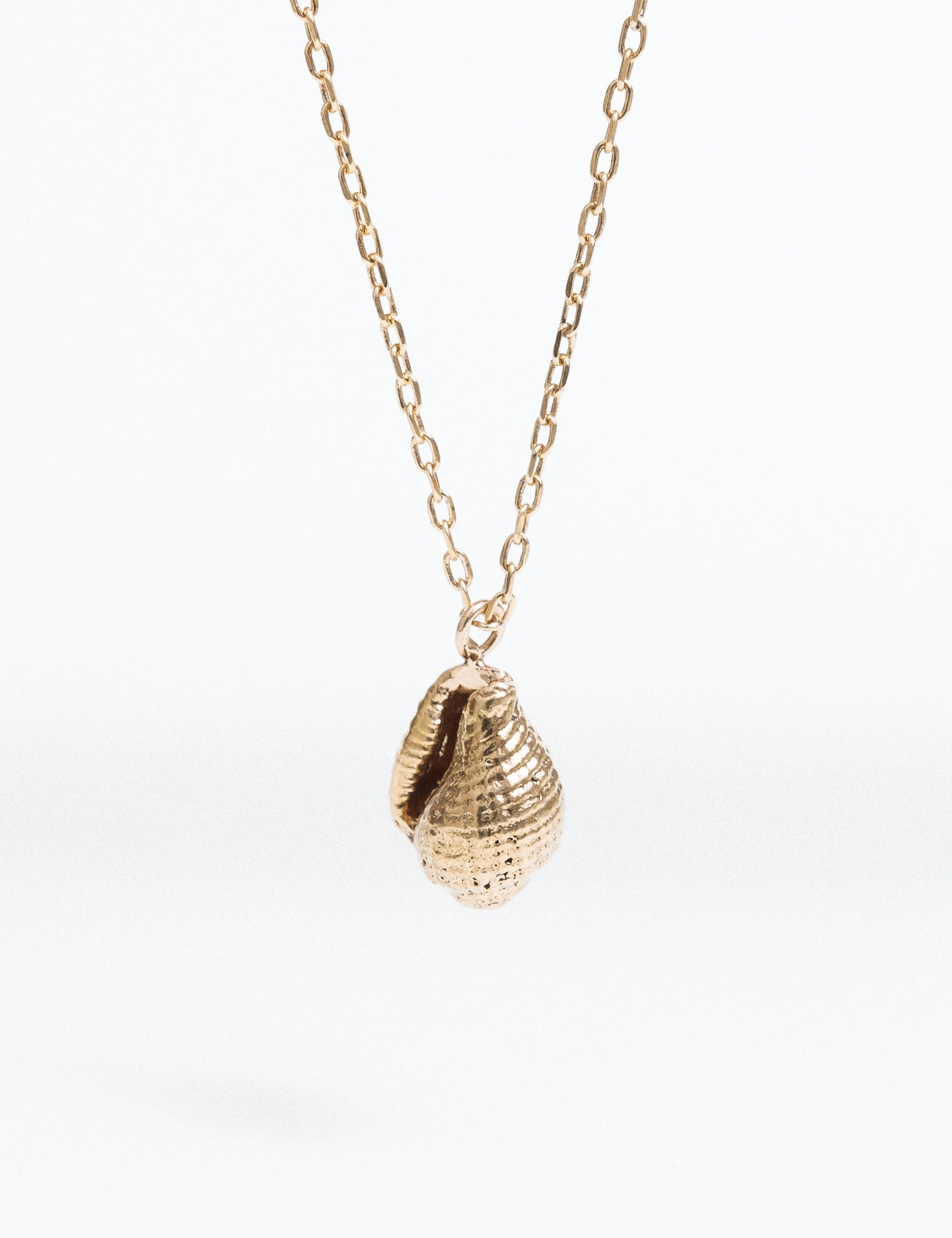 Brazalete Nuez Moscada