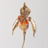 Escultura Orquídea Huánuco Base Negra