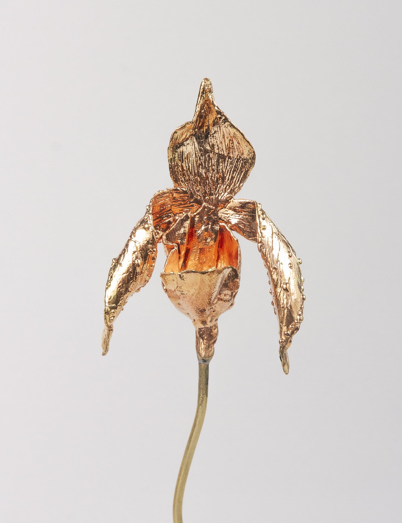 Escultura Orquídea Huánuco Base Negra