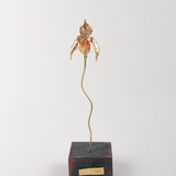 Escultura Orquídea Huánuco Base Negra