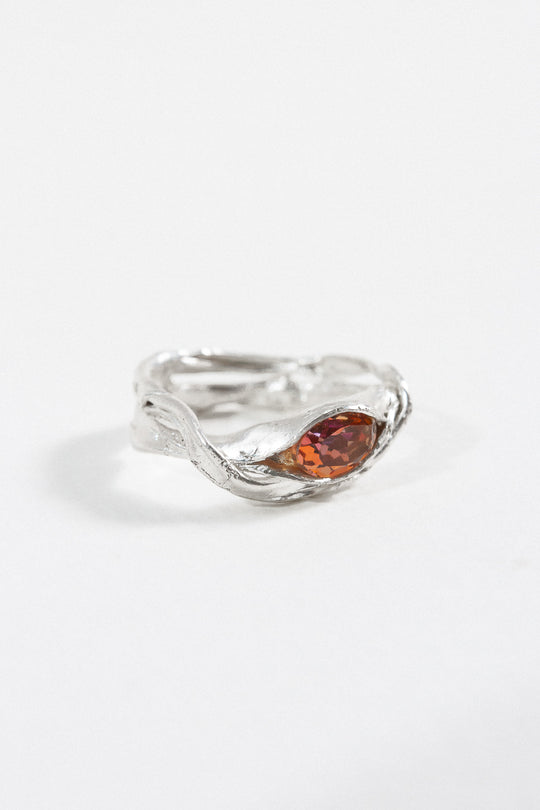 Anillo Doble Crepúscular