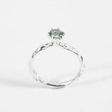 Anillo Crepúsculo - Talla 7
