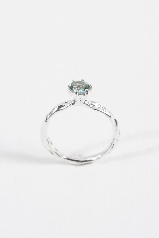 Anillo Crepúsculo - Talla 6