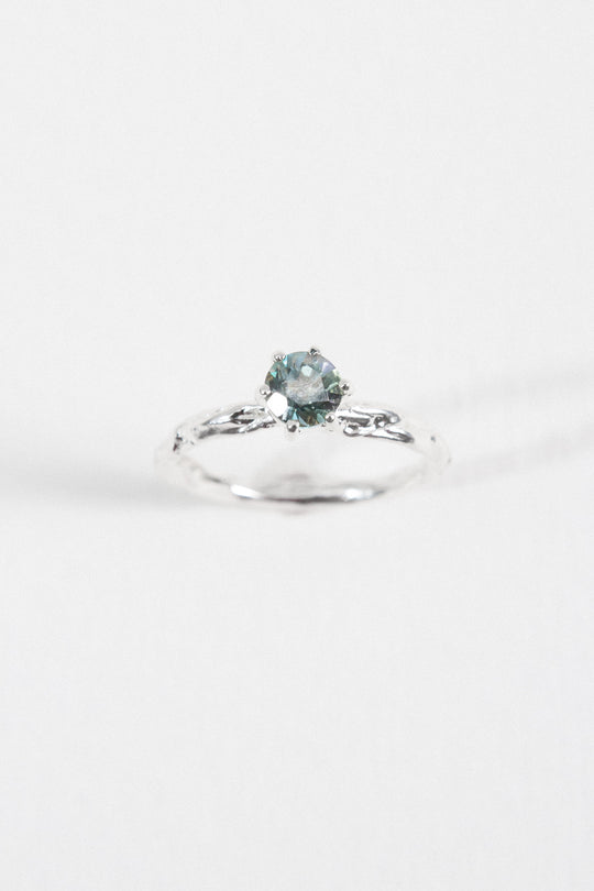 Anillo Crepúsculo - Talla 6