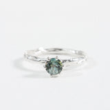 Anillo Crepúsculo - Talla 7