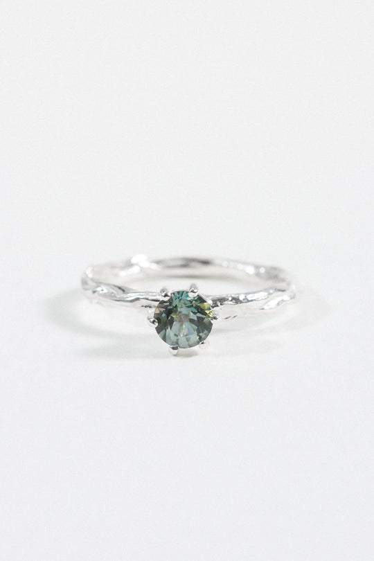 Anillo Crepúsculo - Talla 6