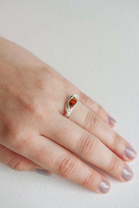 Anillo Doble Crepúscular