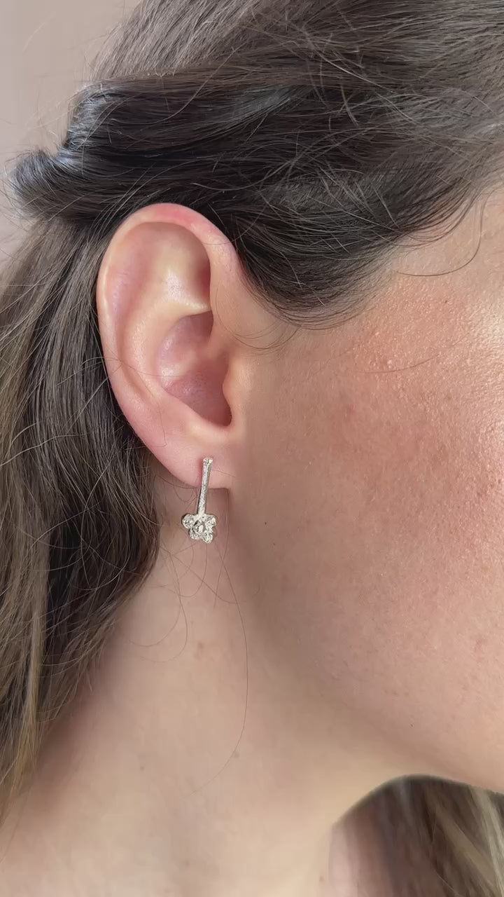 Aretes Racimos de Corozos