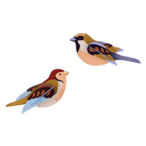 Pájaro de jardín - Gorriones