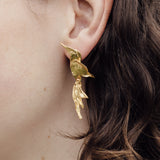 Aretes Colibrí