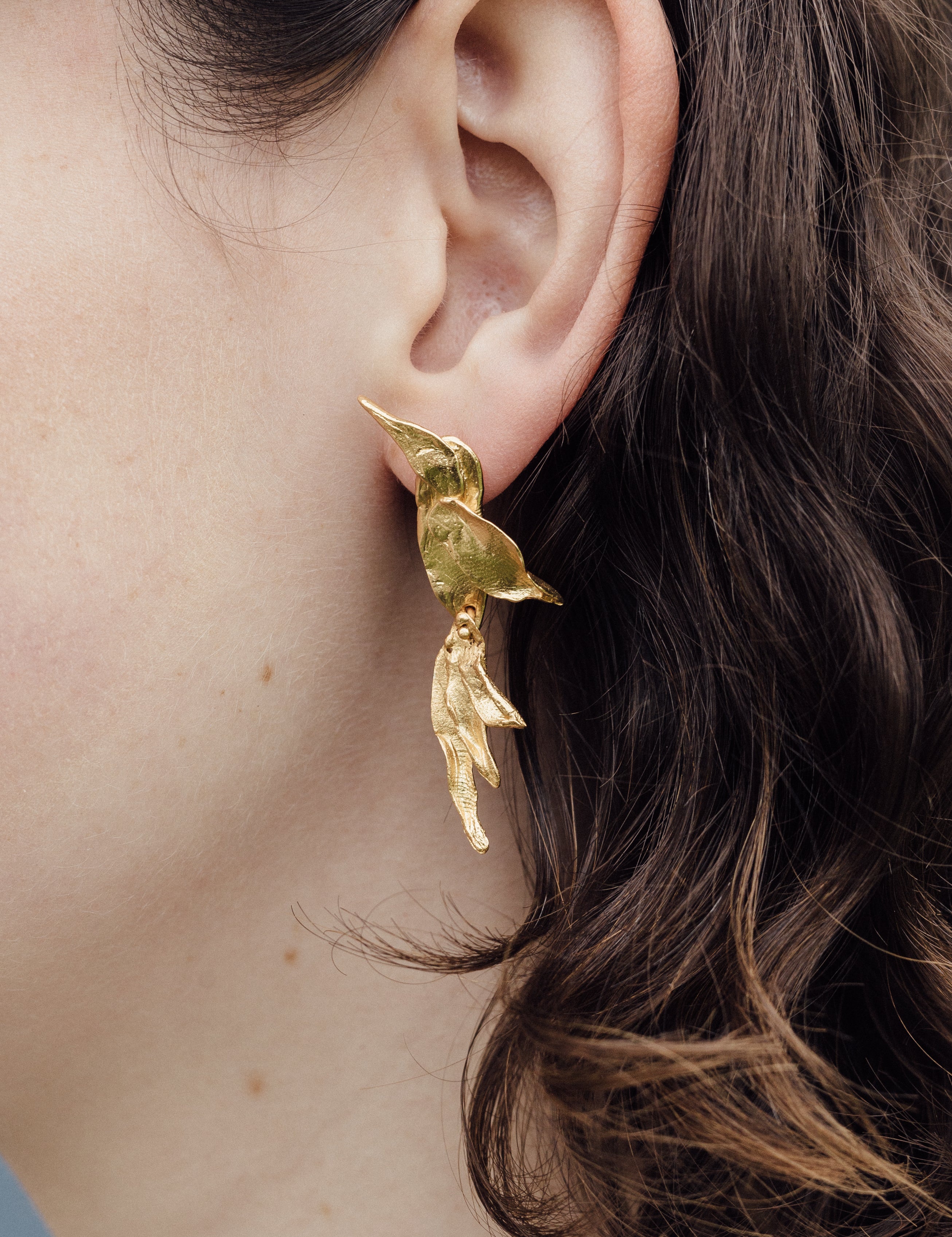 Aretes Colibrí