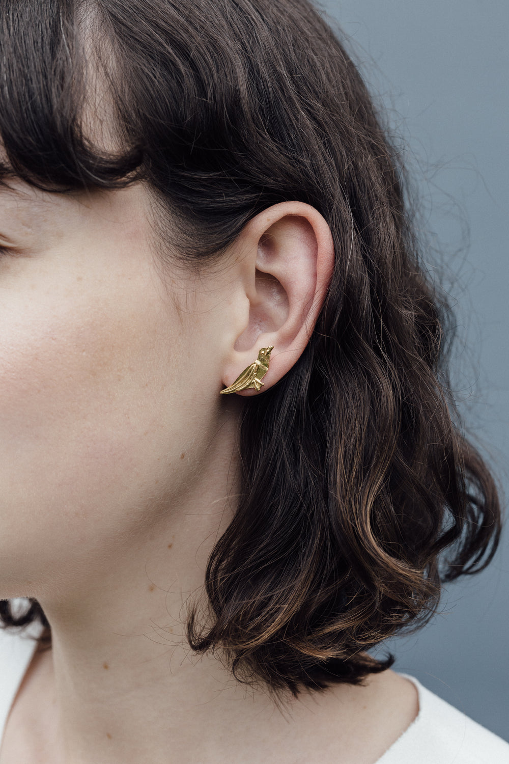 Aretes Tangarita