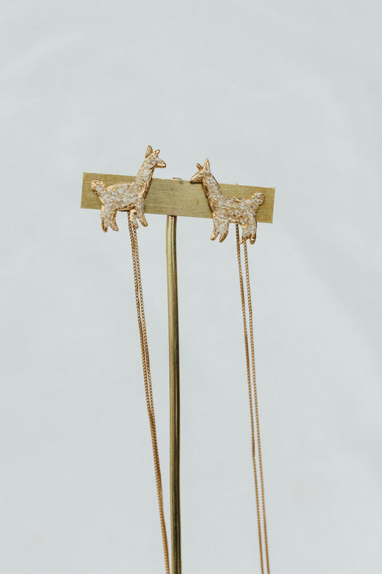 Aretes Alpaca + Cadena