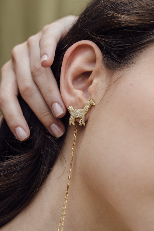Aretes Alpaca + Cadena