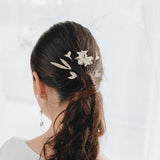 Pinza Brassia