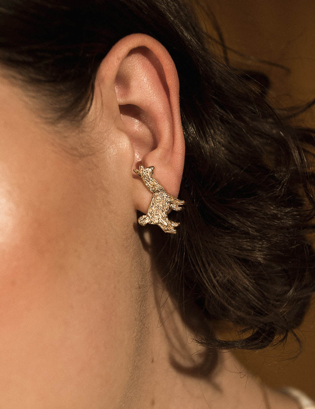 Aretes Alpaca