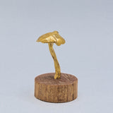 Hongos bronce base madera