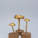 Hongos bronce base madera