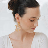 Aretes Silvestre